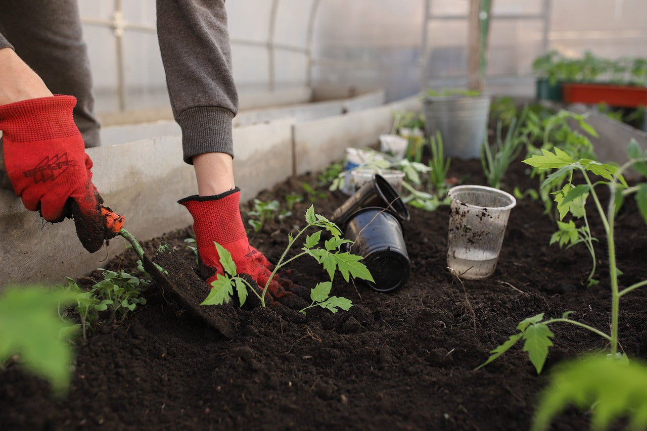 Advanced Gardening